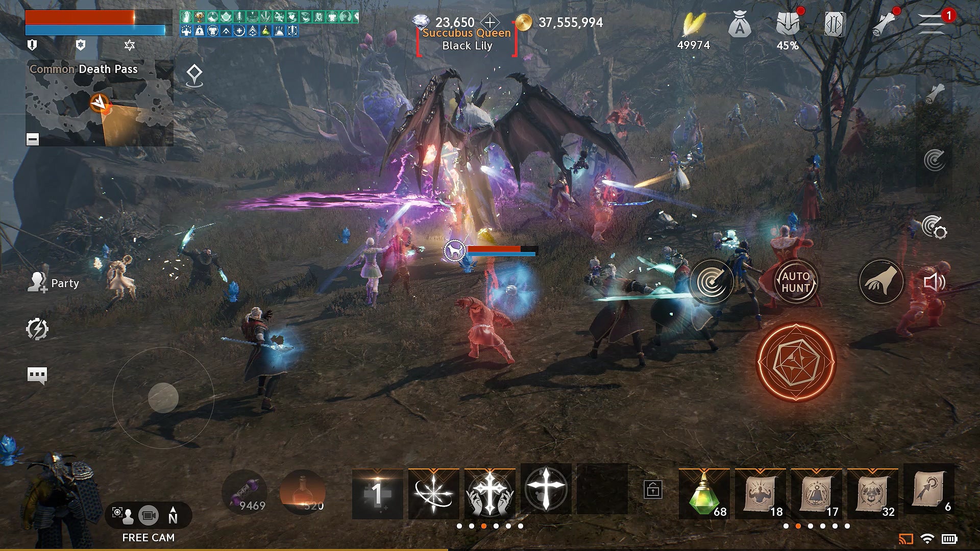 New Arena Opens