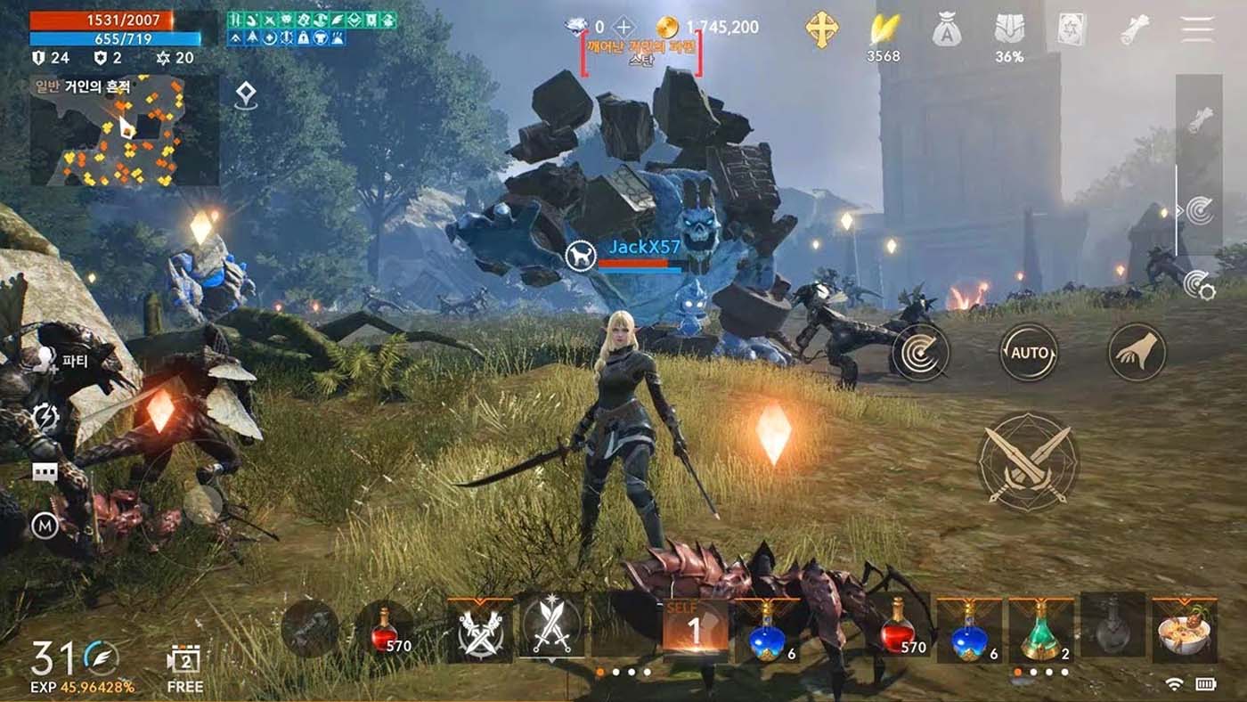 New Champions Arrive